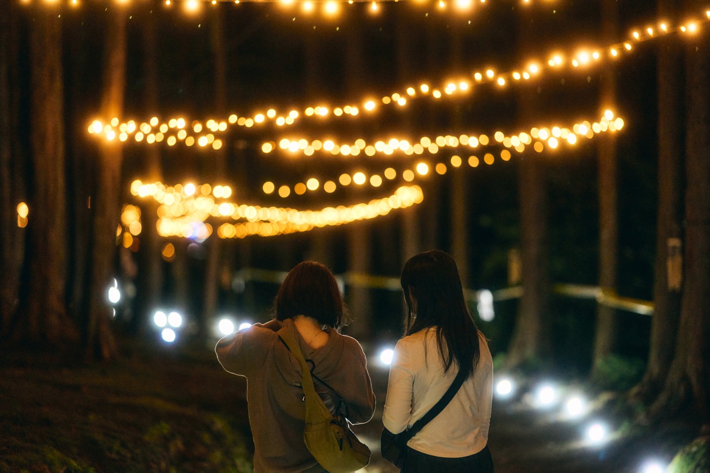 「丘の向こうに森の映画祭」のイメージビジュアル