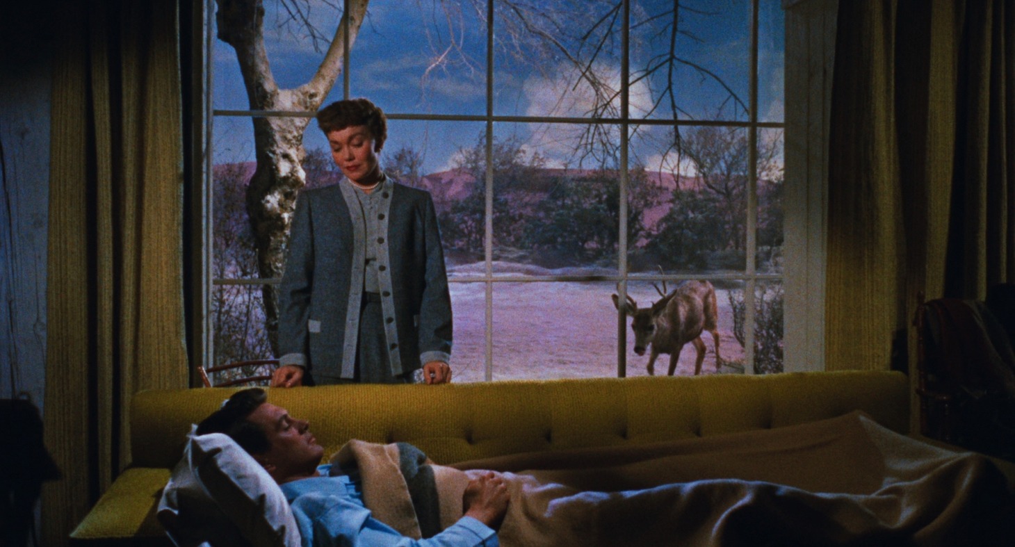 「天が許し給うすべて」場面写真 ©1955 Universal Pictures Co. Inc. RENEWED 1983 by Universal City Studios, Inc. All Rights Reserved.