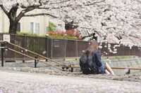 「はるうらら」場面写真