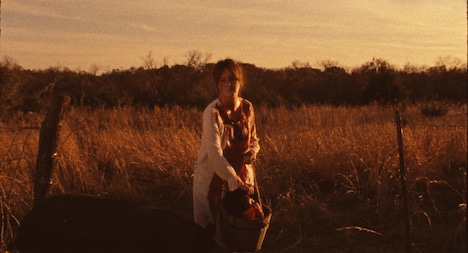 「皆殺しに手を貸せ」場面写真