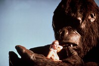 「キングコング」場面写真 (c) 1976 STUDIOCANAL