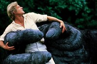 「キングコング2」場面写真 (c) 1986 STUDIOCANAL