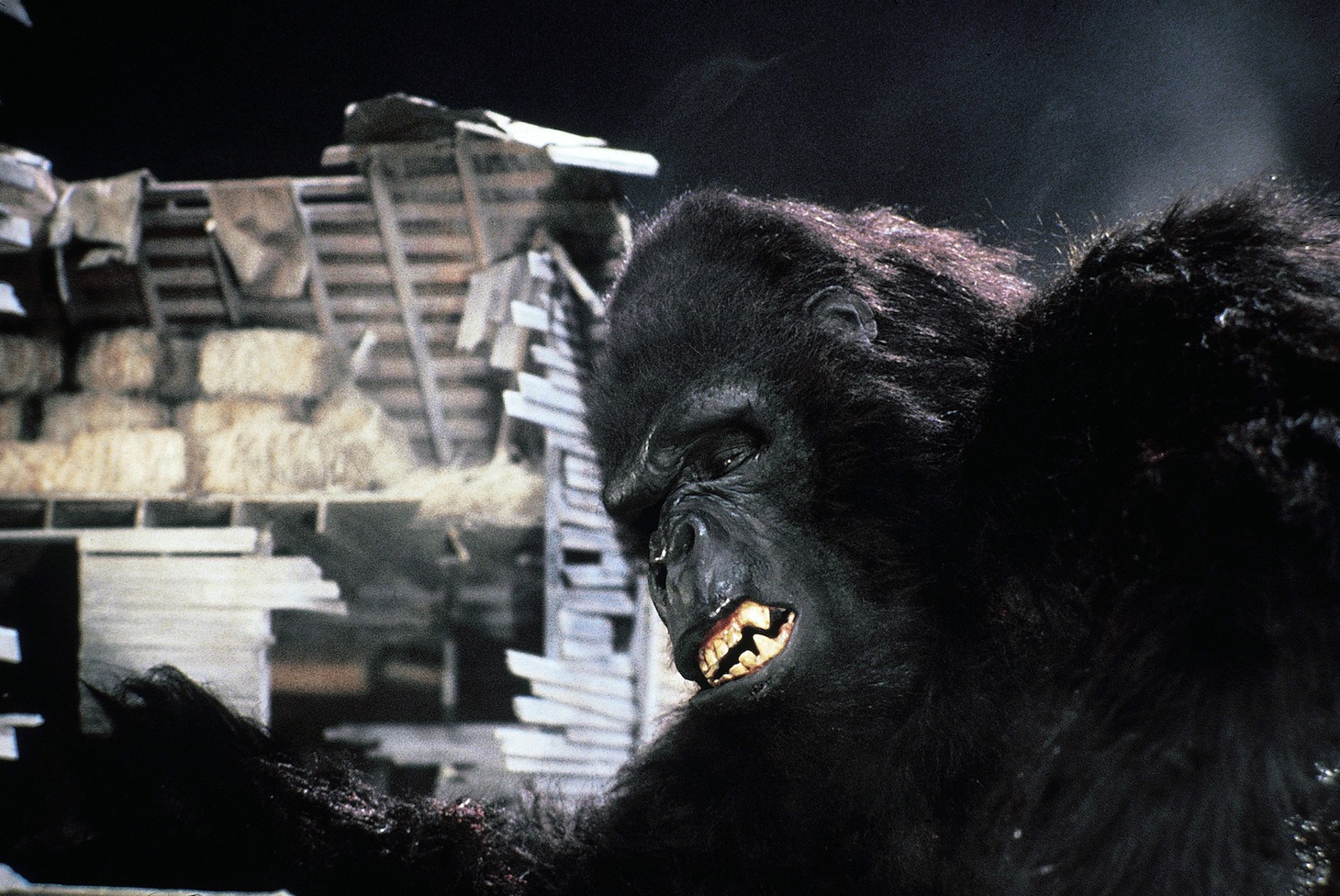 「キングコング2」場面写真 (c) 1986 STUDIOCANAL