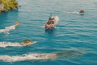 「ジュラシック・ワールド／復活の大地」場面写真