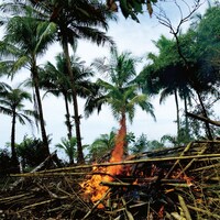 「Metaphors」ジャケット写真