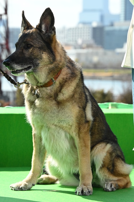 劇中の多聞を演じたさくら