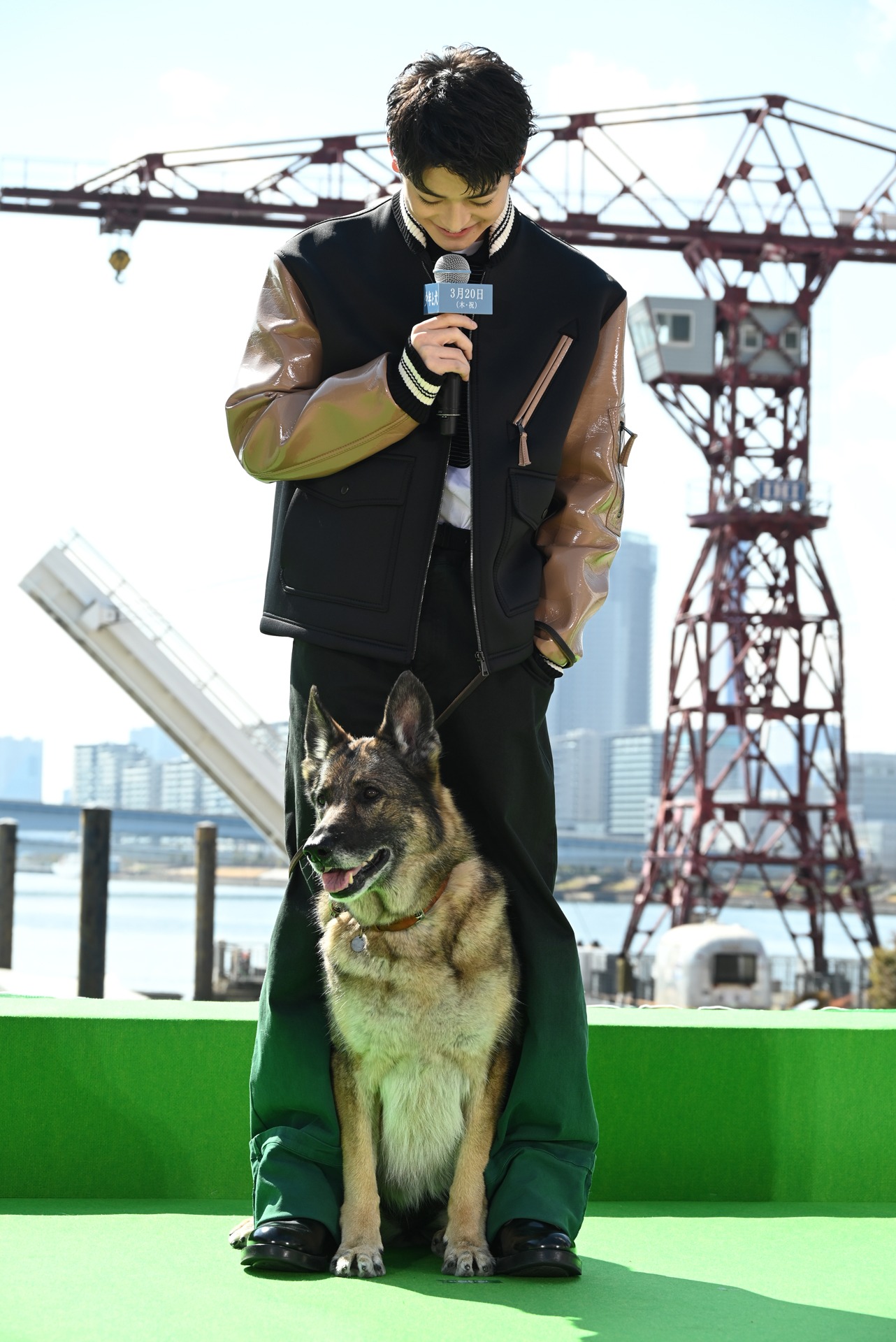 高橋文哉とさくら