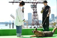 「伏せ、ごろーん」と声をかける西野七瀬（左）と芸を成功させるさくら（右下）