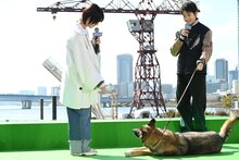 「伏せ、ごろーん」と声をかける西野七瀬（左）と芸を成功させるさくら（右下）