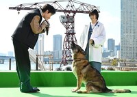 合図を出す高橋文哉（左）と吠えるさくら（右下）