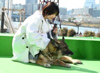 西野七瀬とさくら