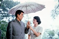 「乱れ雲」場面写真 ©1967東宝