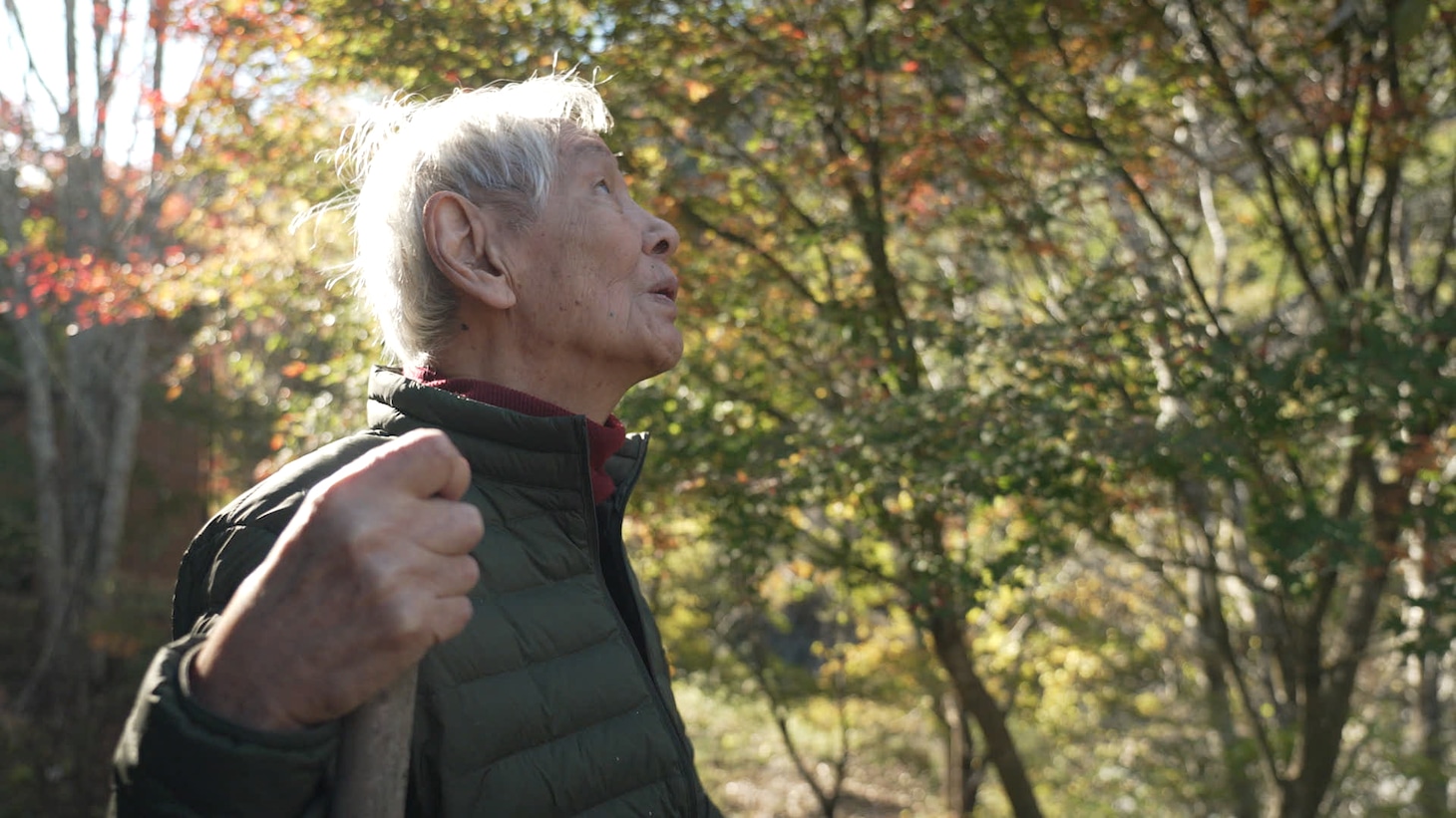 秋、落ち葉掃きの合間に一息つく近藤正臣
