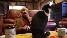 近藤正臣と愛猫の奴（やっこ）