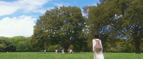 「温帯の君へ」場面写真