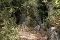 TOS開局55周年記念時代劇ドラマ「はぐれ鴉」より、ロケ地の1つに選ばれた大分・臼杵市の風連鍾乳洞