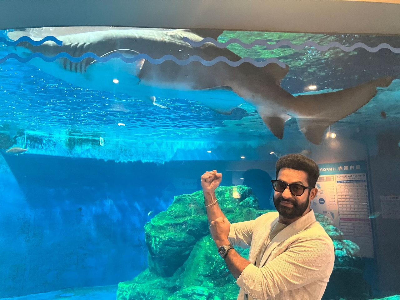 「デーヴァラ」で巨大ザメと戦ったNTR Jr.、しながわ水族館で“本物のサメ”と対面