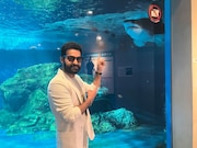 初めて近距離で本物のサメを見たNTR Jr.