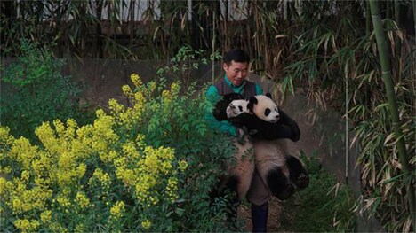 「私の親愛なるフーバオ」新場面写真