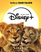 「ライオン・キング：ムファサ」ビジュアル