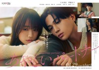 「あやしいパートナー」ポスタービジュアル