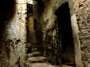 「コロッサル・ユース」場面写真