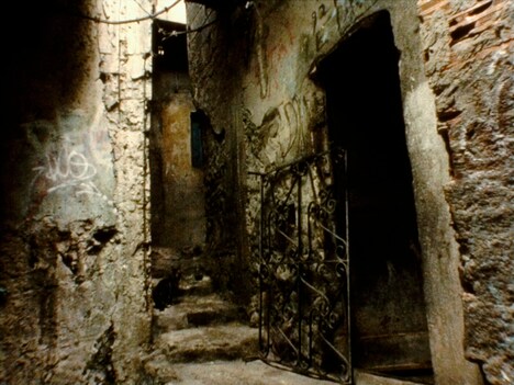 「コロッサル・ユース」場面写真