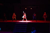 「秘密戦隊ゴレンジャー」シークレットプレミアムショー（アクションショー）の様子