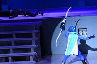 「秘密戦隊ゴレンジャー」シークレットプレミアムショー（アクションショー）の様子