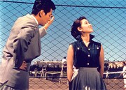 「青空娘 4K版」場面写真 ©KADOKAWA1957