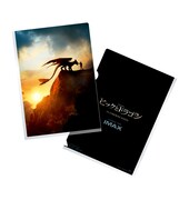 実写映画「ヒックとドラゴン」ムビチケ前売り券の特典クリアファイル