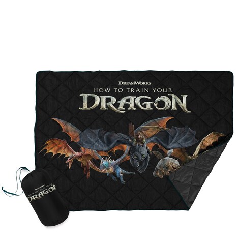 実写映画「ヒックとドラゴン」ムビチケオンライン前売り券のキャンペーンで当たる特製ブランケット
