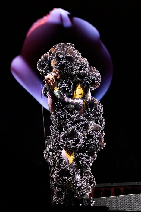 「ビョーク：コーニュコピア」場面写真