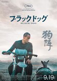 「ブラックドッグ」ティザーポスタービジュアル