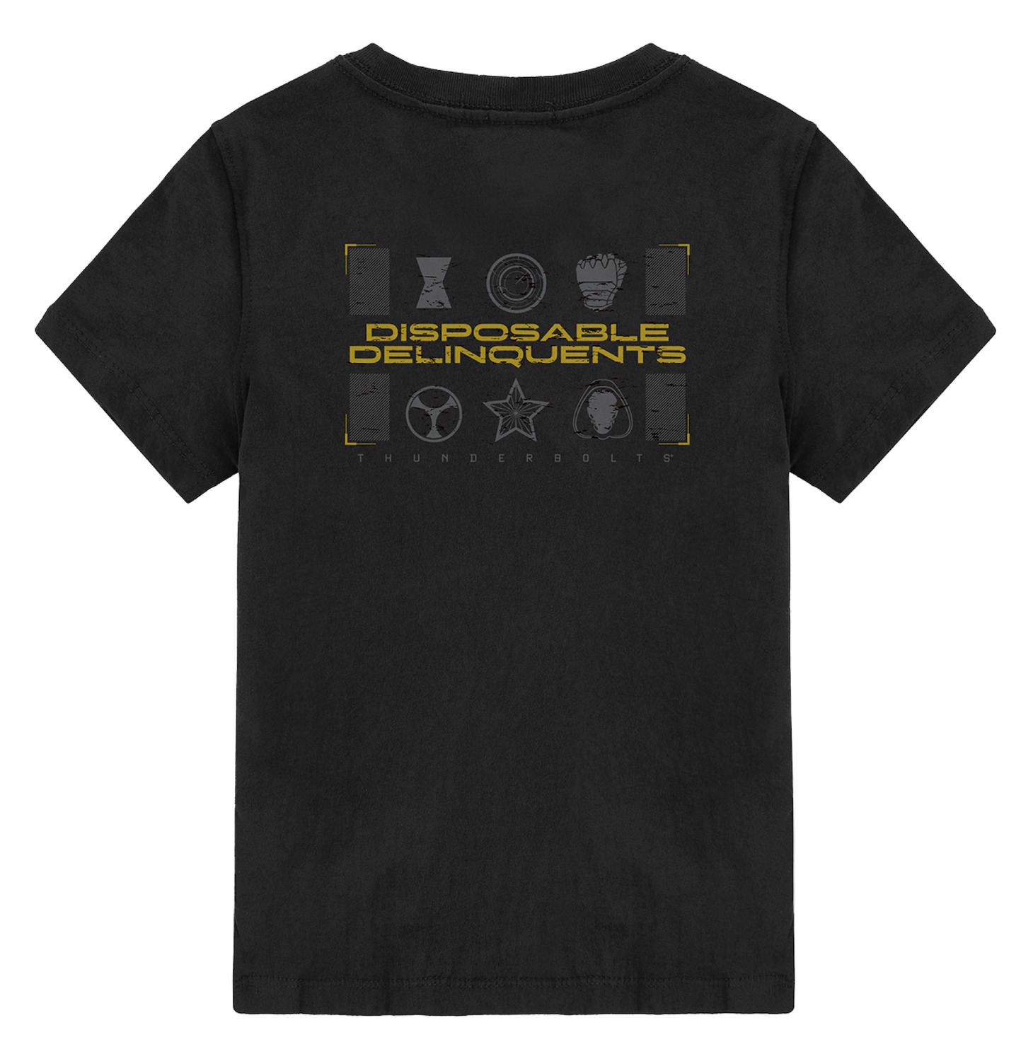 B賞のTシャツ（フリーサイズ / バック）