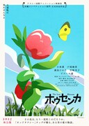 「ホウセンカ」ティザーポスター