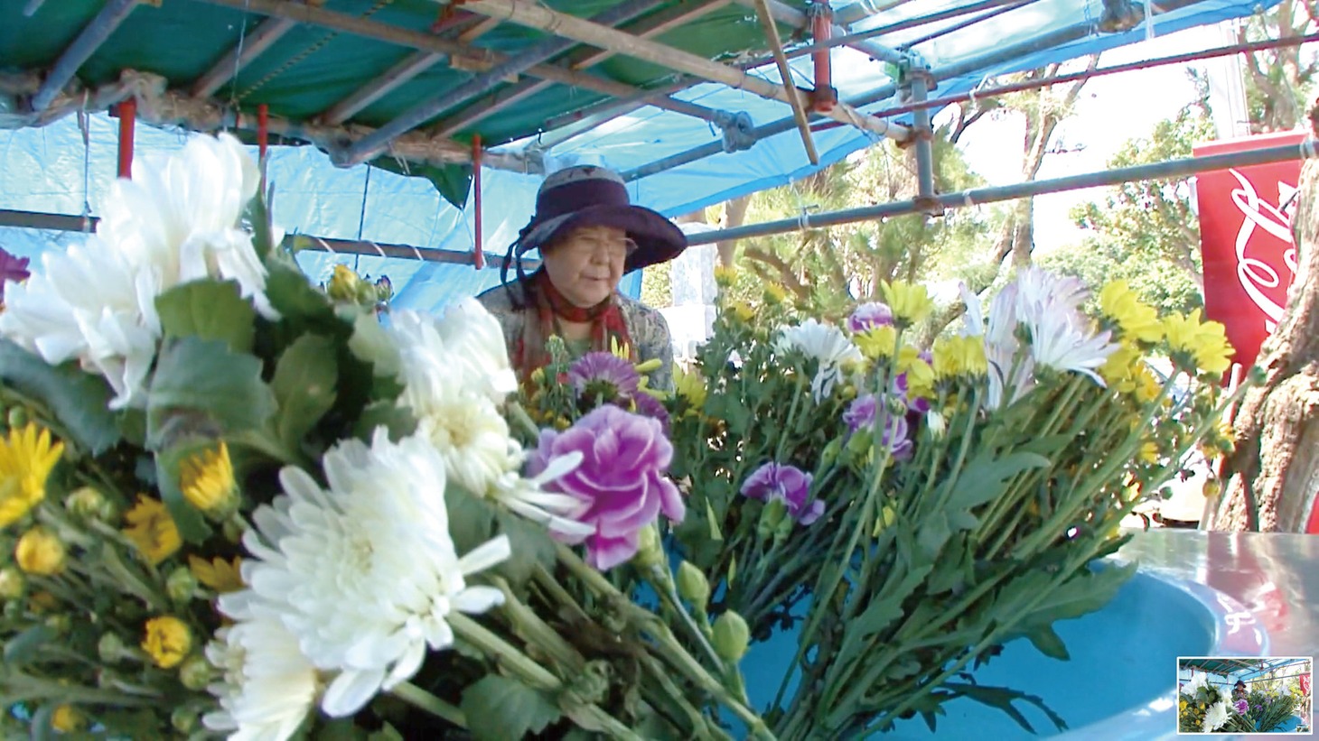 「摩文仁 mabuni」場面写真