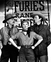 「復讐の荒野」ビジュアル