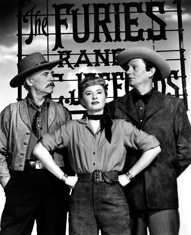 「復讐の荒野」ビジュアル