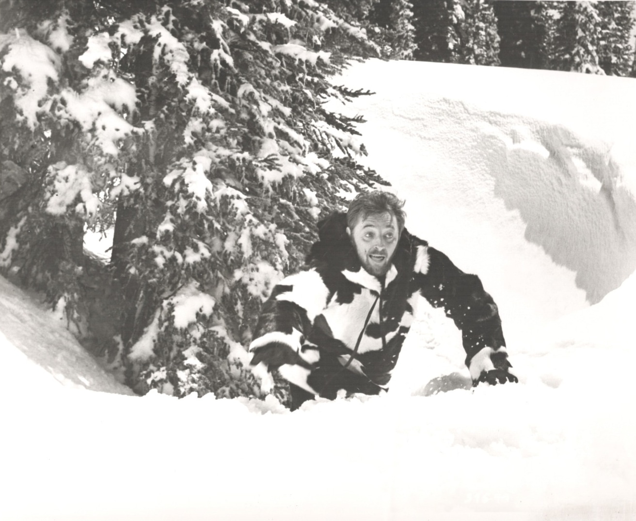 「血ぬられし爪あと」場面写真