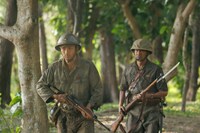 「木の上の軍隊」場面写真