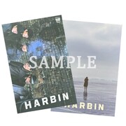 「ハルビン」ムビチケキャンペーンで当たるスペシャルカード（A5サイズ）　