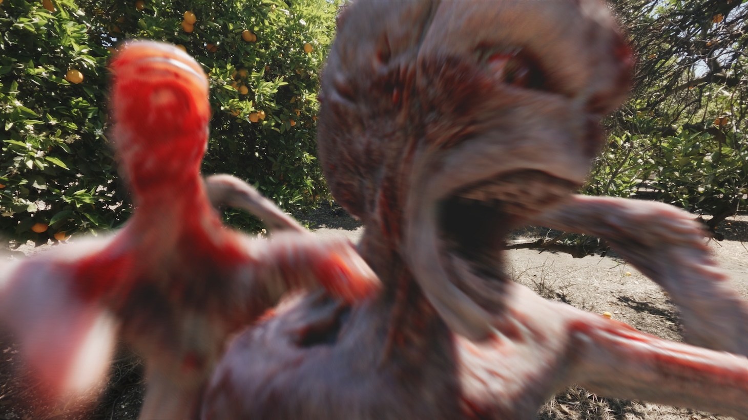 「V/H/S ビヨンド」新場面写真
