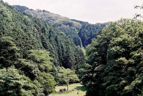 「おばけ」場面写真