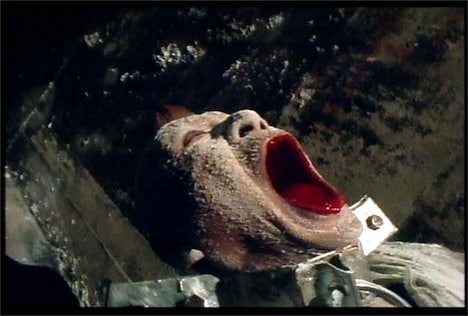 「Pinocchio√964」場面写真