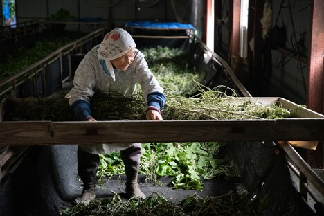 映画「炎はつなぐ」場面写真