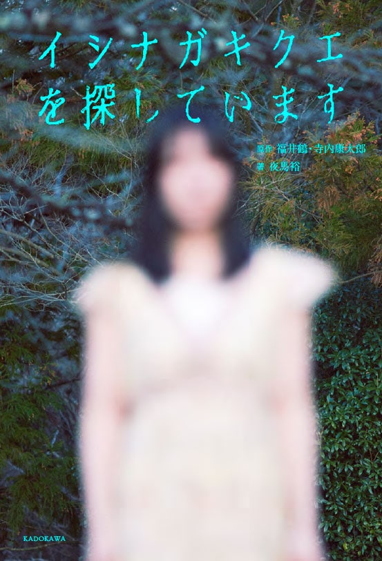 書籍「イシナガキクエを探しています」表紙（イメージ）