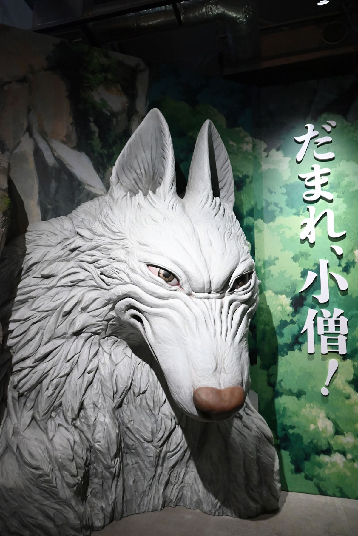 もののけ姫」より、犬神モロ ©1997 Hayao Miyazaki/Studio Ghibli, ND 