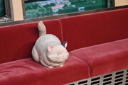 「耳をすませば」のフォトスポットでは猫と一緒に撮影できる ©1995 Aoi Hiiragi, Shueisha/Hayao Miyazaki/Studio Ghibli, NH