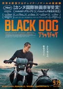 エディ・ポンが野良犬と友情育む、カンヌ受賞作「ブラックドッグ」予告公開